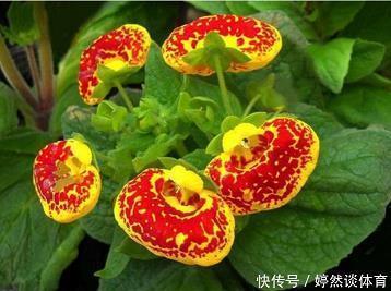 带好你感恩的护照上路