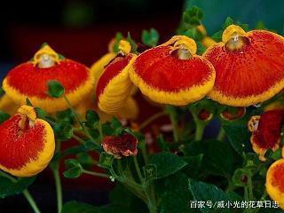 心灵的曙光