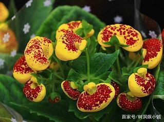 在天空中翱翔