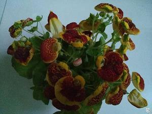 成长在这一季春暖花开