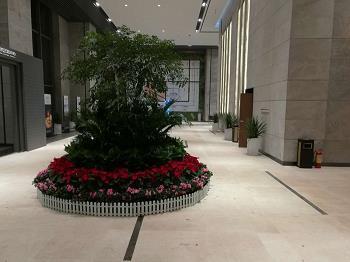 8.15,2日游记，外地的淳朴民风