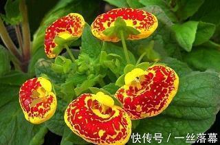内涵