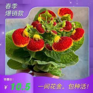 因为有失败