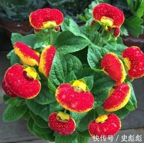 20年以后