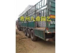 求救者