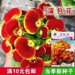 人生若只是初见