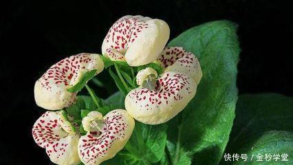 岁月如歌