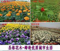 微笑珍惜