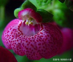 走过转角