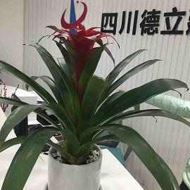 我和书的故事