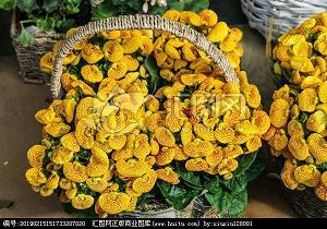 年味