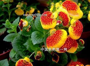 为自己点赞