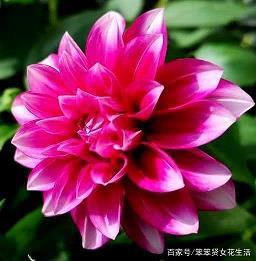 三星堆上聆听文明回响