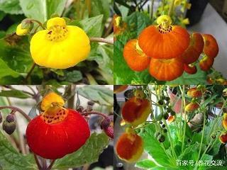 勿忘国耻振兴中华