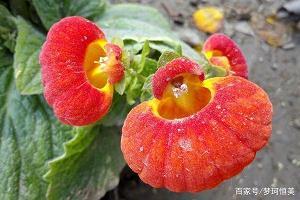 国庆节的一件事_初中生作文,初三作文_万闻炜完美作文