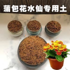 幸福扬州人