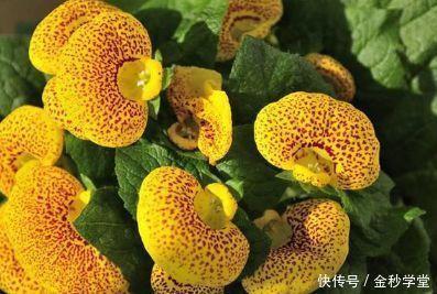 用心去看