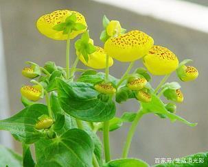 废墟之上