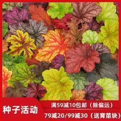 位卑未敢忘忧国