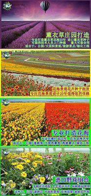 听蛙声