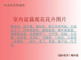 歌唱伟大的祖国