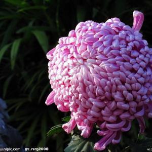 窗帘情感阳光(转载)
