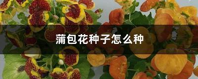 孩子的思绪