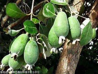 与老妈的斗争之看书篇