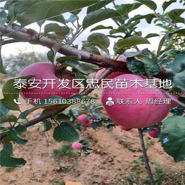 向前冲不回头