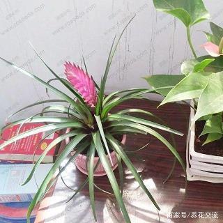 公平自在人心
