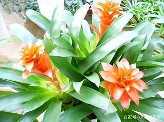 云与山的彼端