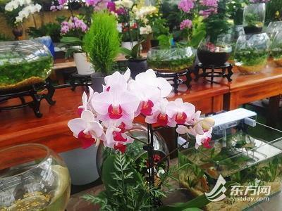 和小草聊天