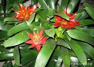 清明共铸中华魂