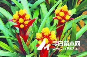 出彩高中，扬帆起航