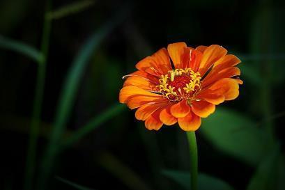 五一节