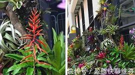 传话对对碰