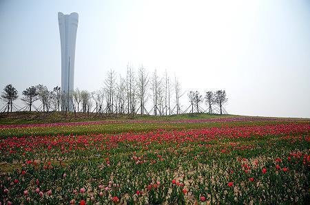在什么的日子里