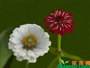 书香伴我行