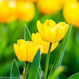 不拘小节
