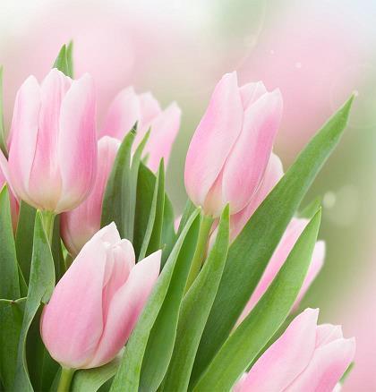 花样年华