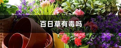 母亲节的感悟