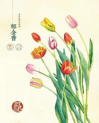 向往远方
