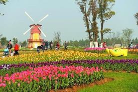 心是莲花