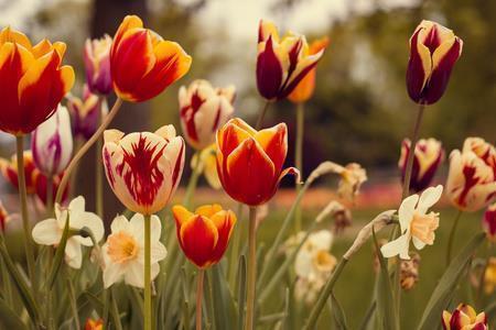 Interesting Things about color