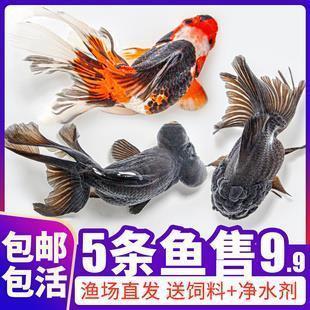 怀念奋斗的日子