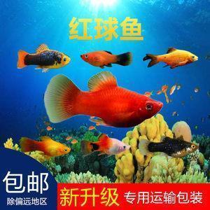 告别