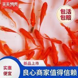 感动不处不在