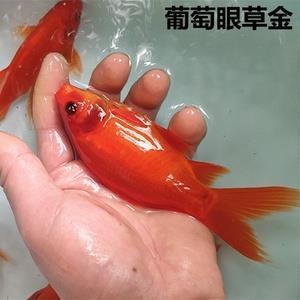 争做守法小公民