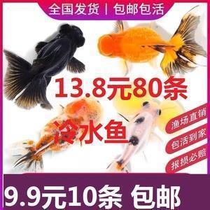 天使在微笑（随笔）