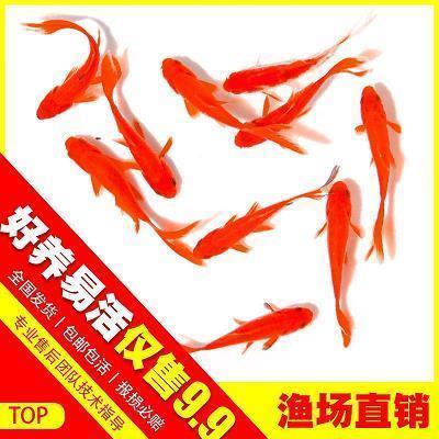 作业旅程
